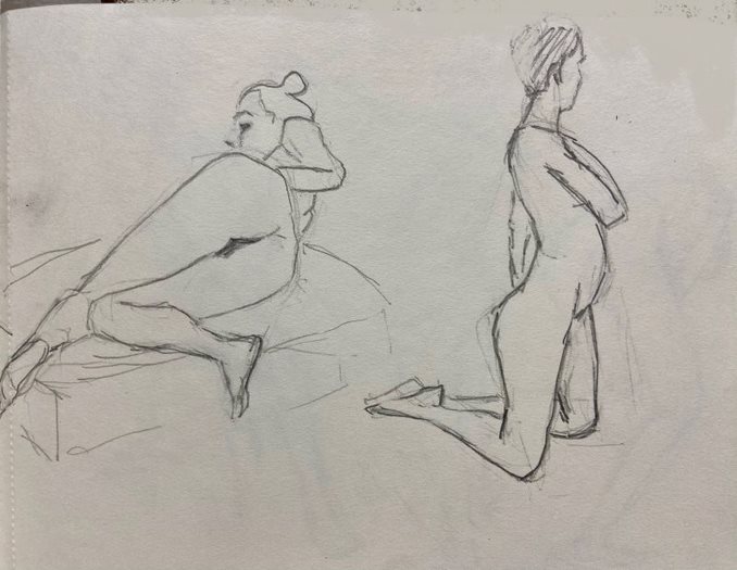 Model (79)